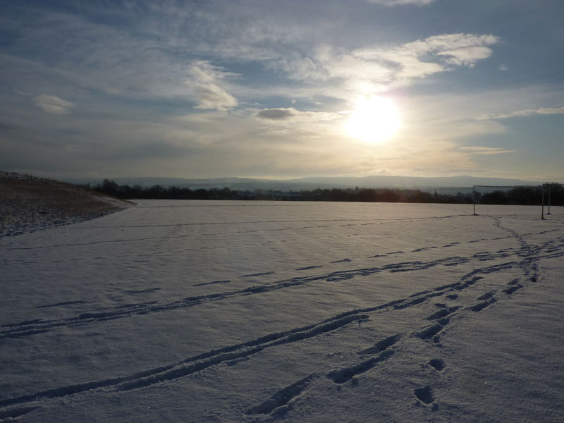 Prairie